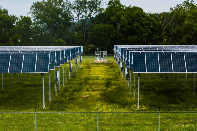 The Importance of Renewable Energy Rodney Wiltshire